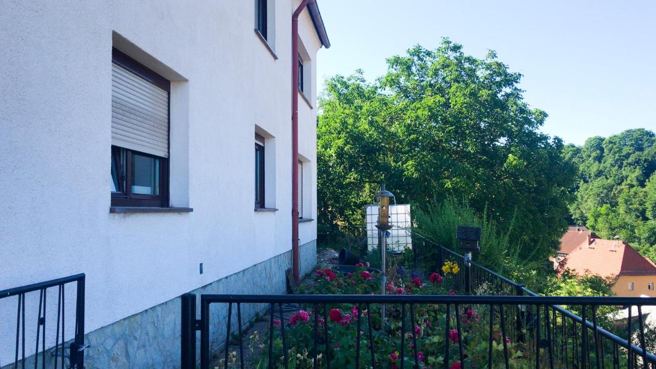 Schlossberg Apartments & Garten In Der Natur & Unweit Vom "Thueringer Meer" Unterwellenborn 外观 照片