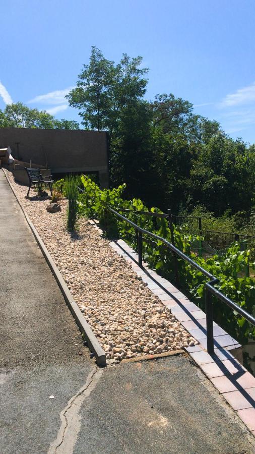 Schlossberg Apartments & Garten In Der Natur & Unweit Vom "Thueringer Meer" Unterwellenborn 外观 照片